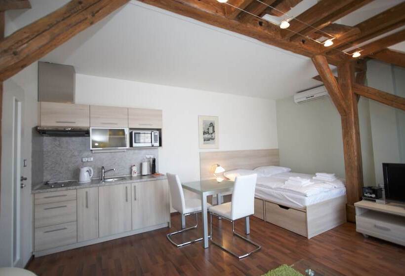 １ベッドルームアパートメント, Residence U černé Věže české Budějovice
