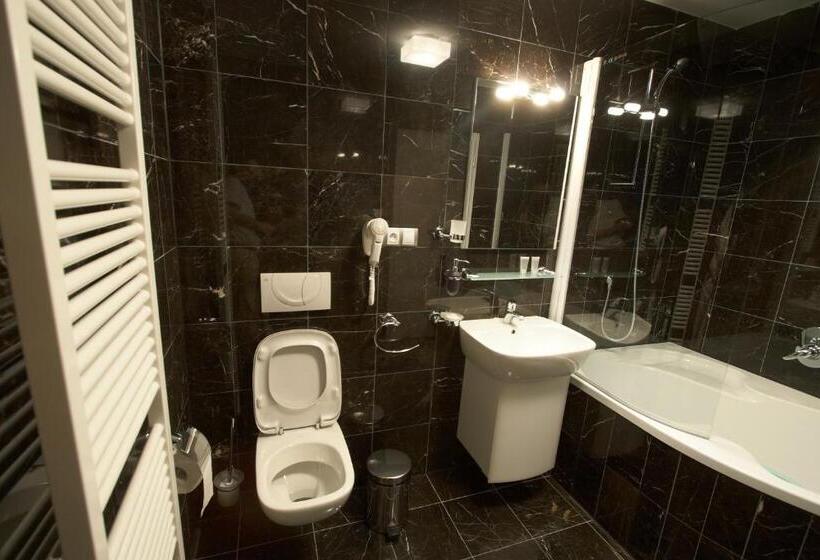 １ベッドルームアパートメント, Residence U černé Věže české Budějovice