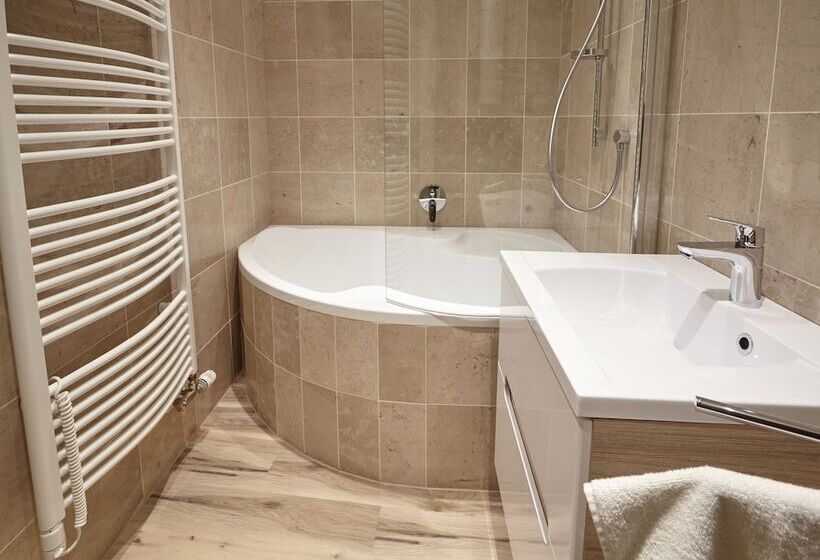 １ベッドルームアパートメント, Residence U černé Věže české Budějovice
