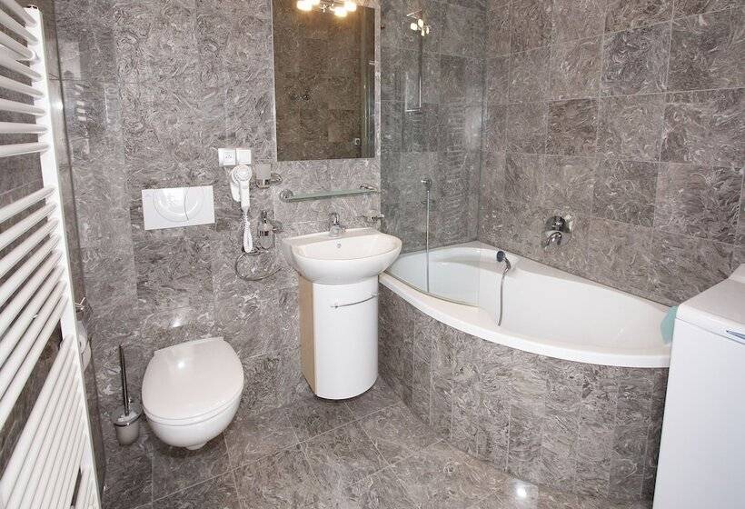 １ベッドルームアパートメント, Residence U černé Věže české Budějovice