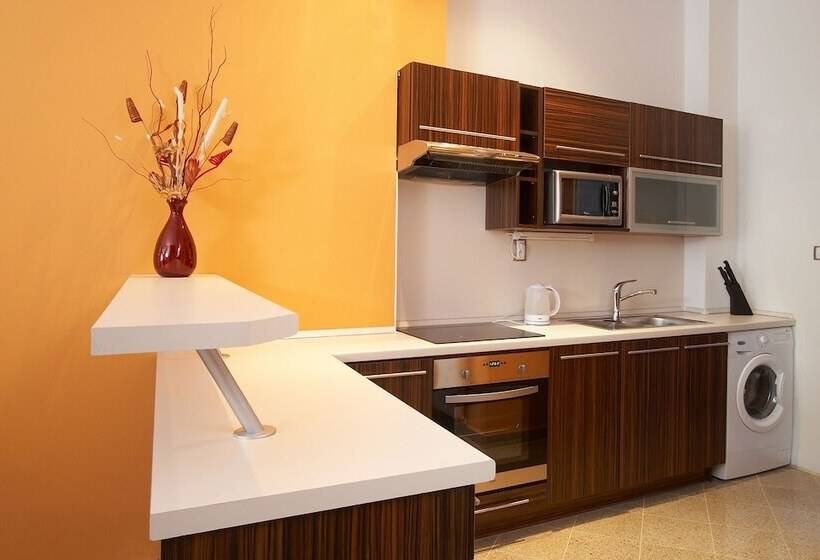 带1个卧室的公寓, Residence U černé Věže české Budějovice