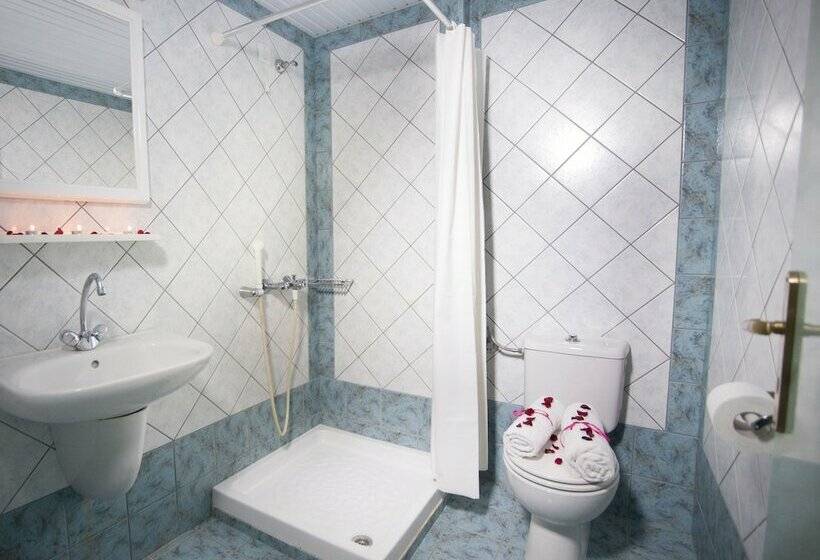 Апартаменты 1 Спальня, Theoni Apartments