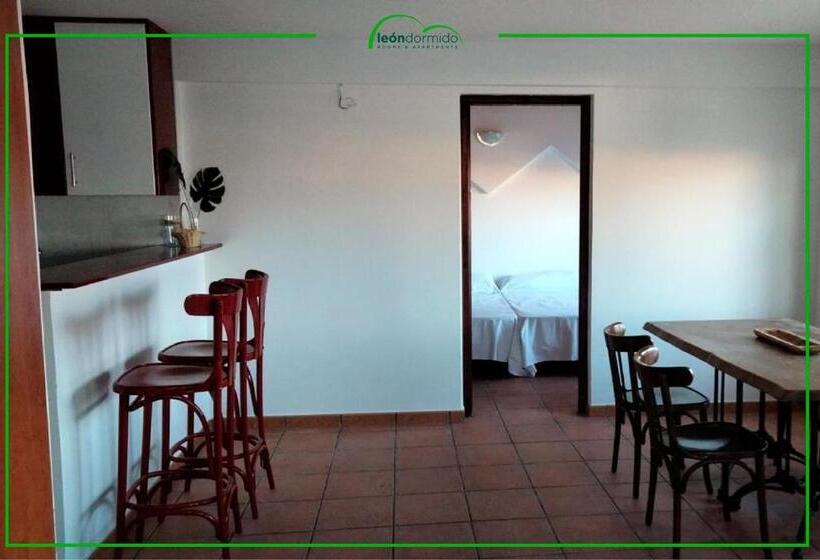 Апартаменты 1 Спальня, Hostal Leon Dormido