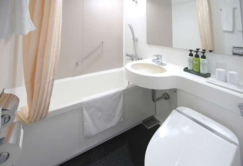 اتاق استاندارد یک نفره, Excel Okayama