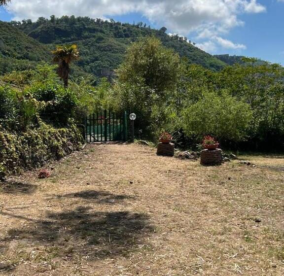 آپارتمان 1 خوابه با چشم‌انداز دریا, Residenza Crivo