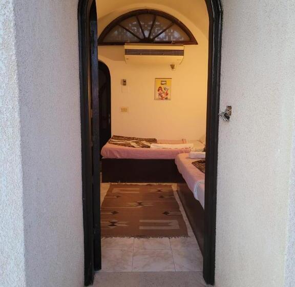 اتاق اکونومی یک تخته, Lagona Dahab