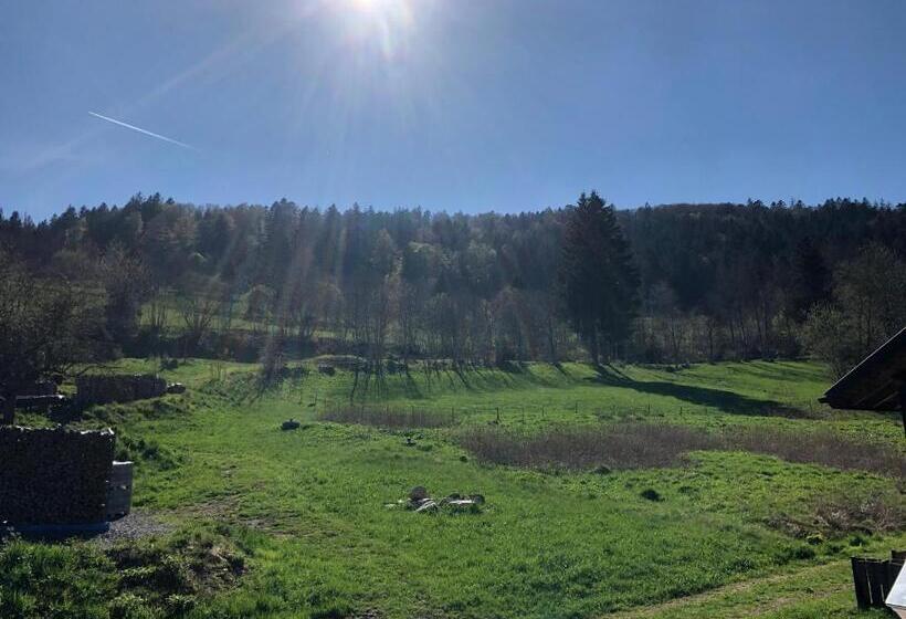 Номер Стандарт, Das Schwarzwald
