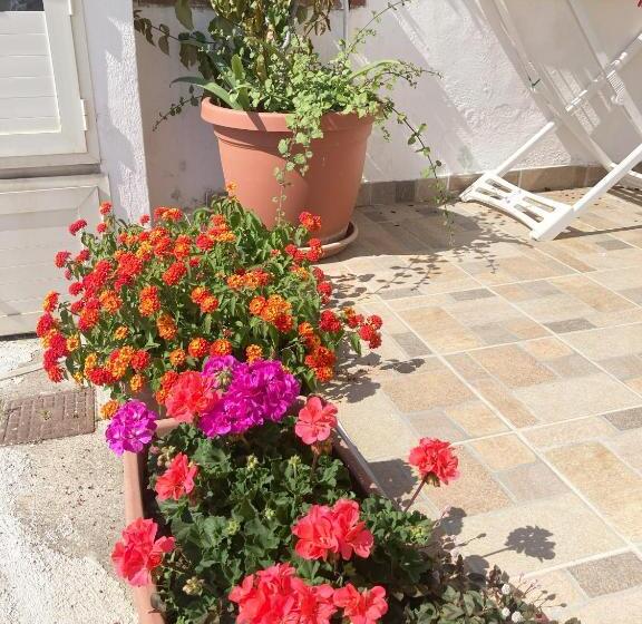 经济房, La Meriggia B&b