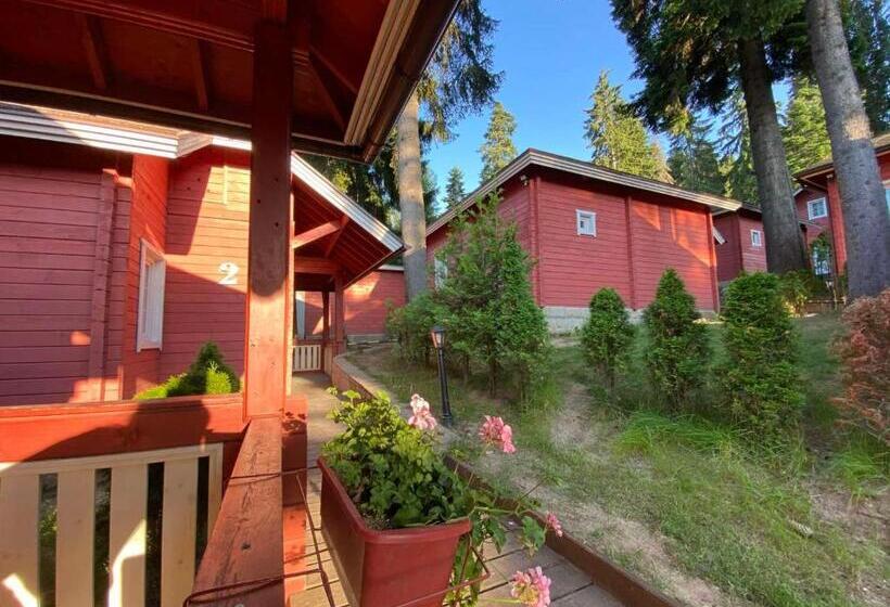 Шале 1 Спальня, Alpin Borovets, алпин боровец