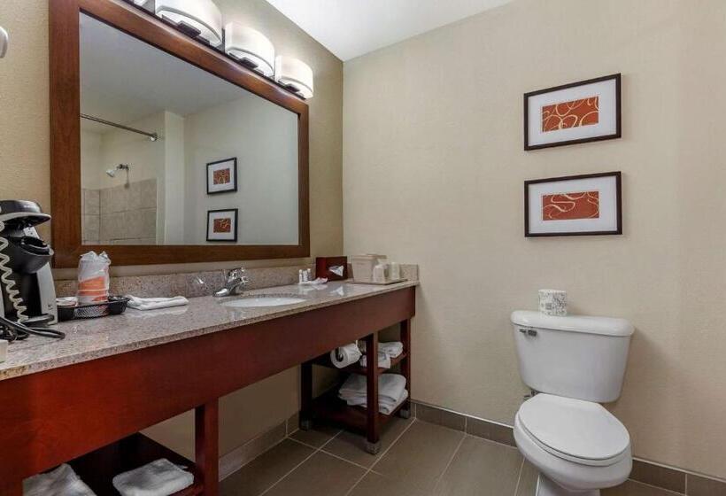 Люкс Кровать Кинг, Comfort Suites Delavan  Lake Geneva Area
