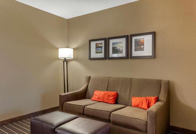 Люкс, Comfort Suites Delavan  Lake Geneva Area