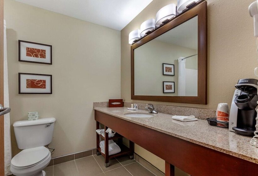 Люкс, Comfort Suites Delavan  Lake Geneva Area