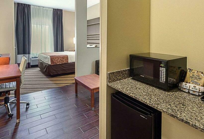 Люкс Кровать Кинг, Comfort Suites Near Tanger Outlet Mall