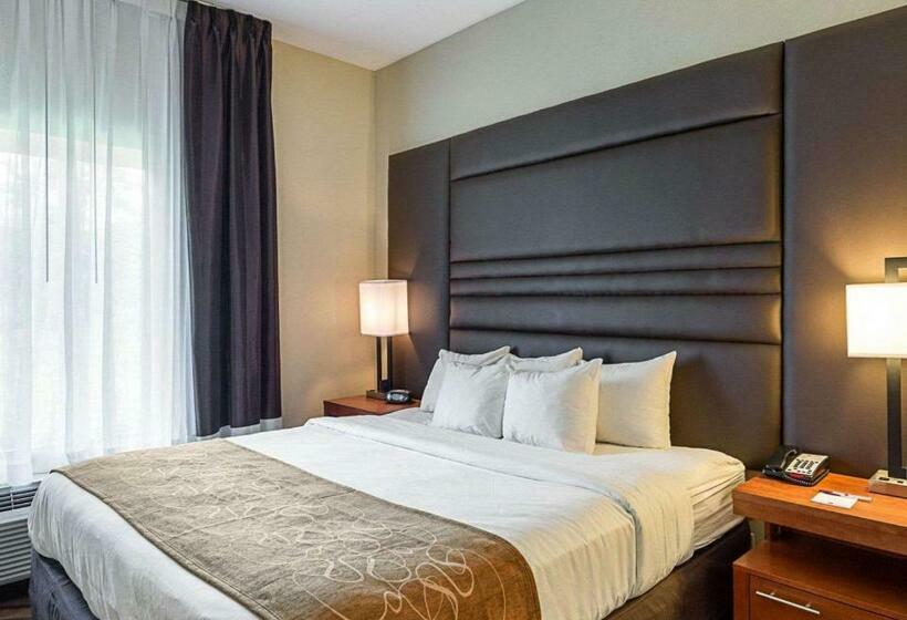 Люкс Кровать Кинг, Comfort Suites Near Tanger Outlet Mall