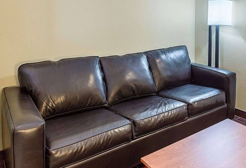 Люкс, Comfort Suites Near Tanger Outlet Mall
