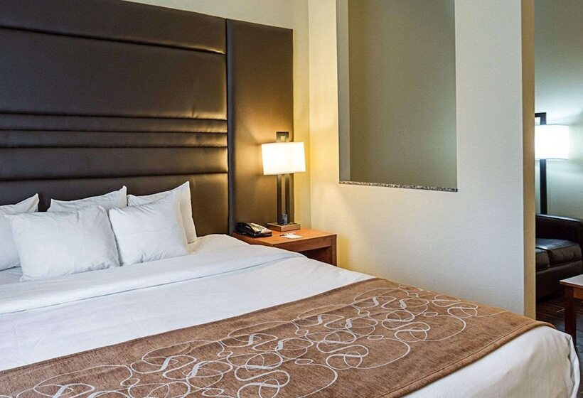 Люкс, Comfort Suites Near Tanger Outlet Mall