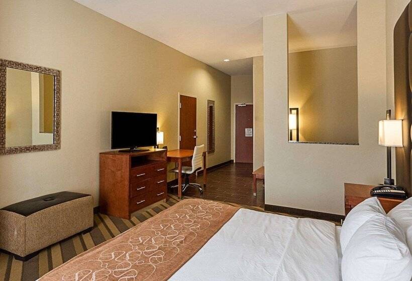 Люкс, Comfort Suites Near Tanger Outlet Mall