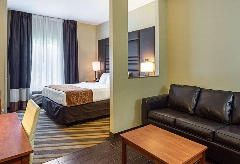 Люкс Адаптированный для Инвалидов, Comfort Suites Near Tanger Outlet Mall