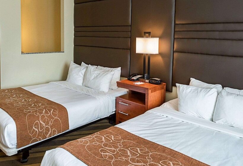 Люкс Адаптированный для Инвалидов, Comfort Suites Near Tanger Outlet Mall