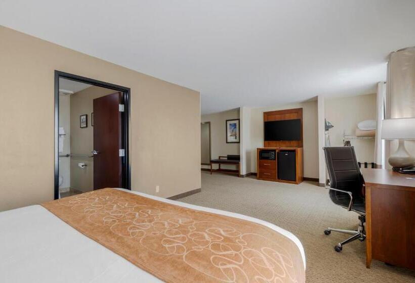 Люкс Адаптированный для Инвалидов, Comfort Suites Pflugerville  Austin North