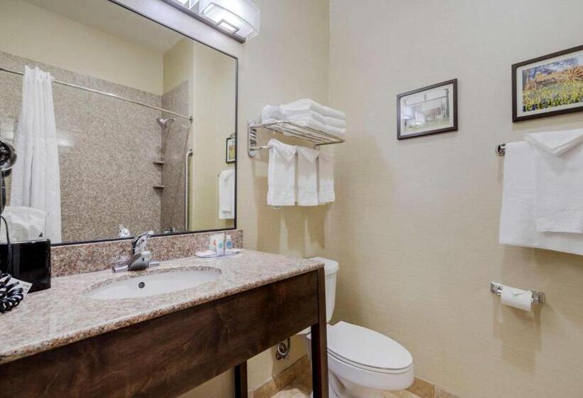 Люкс Кровать Кинг, Comfort Suites Pflugerville  Austin North
