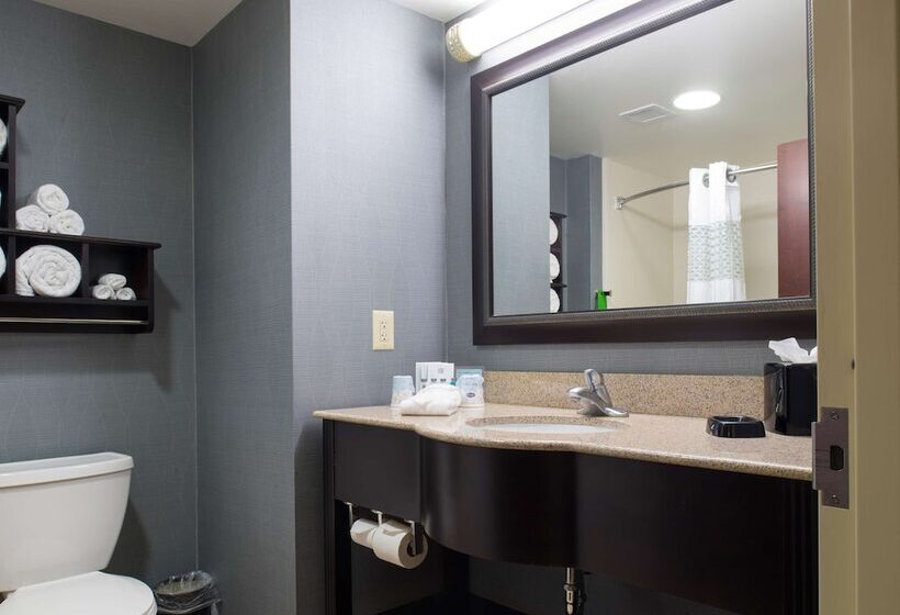 Номер Стандарт Адаптированный для Инвалидов, Hampton Inn & Suites Vineland