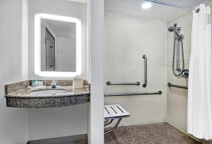 اتاق استاندارد با تخت بزرگ برای معلولان, Holiday Inn & Suites College Station Aggieland, An Ihg