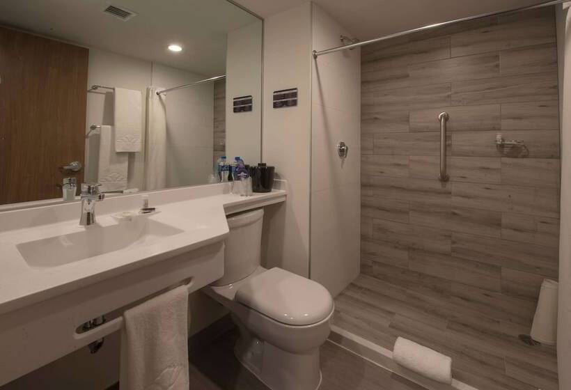 스탠다드 룸 더블 침대 2개, Microtel Inn & Suites By Wyndham Guadalajara Sur