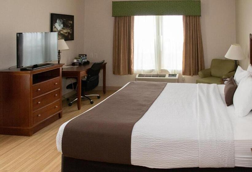 Номер Стандарт, Best Western I 5 Inn & Suites