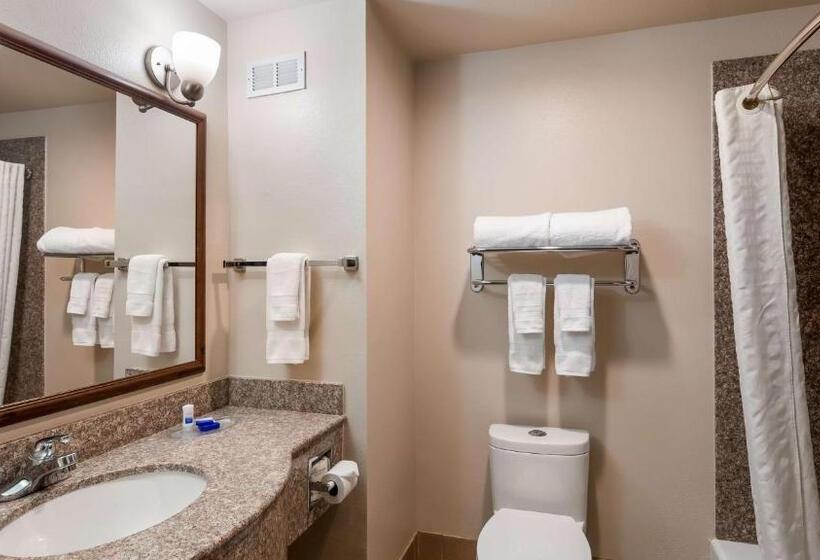 带大床的套房, Best Western I 5 Inn & Suites