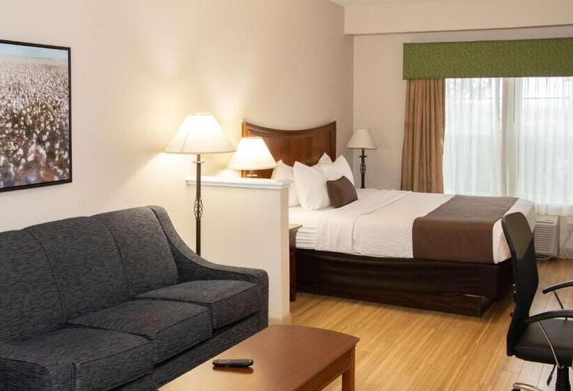 Люкс Кровать Кинг, Best Western I 5 Inn & Suites