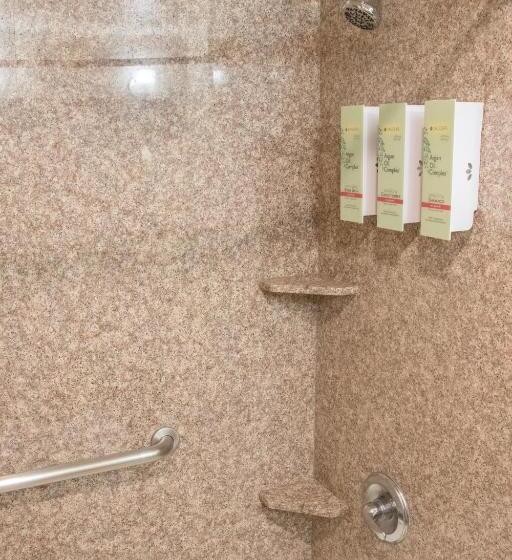 带大床的标准间, Best Western I 5 Inn & Suites