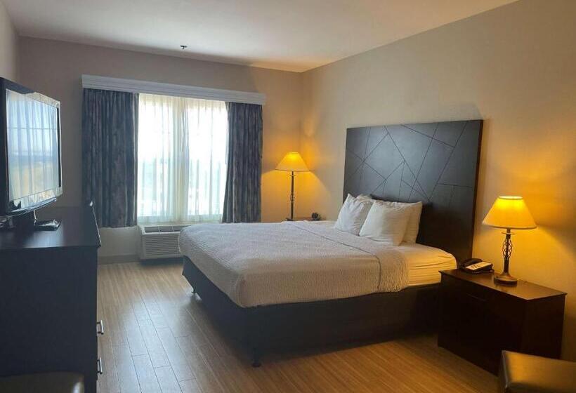 带大床的标准间, Best Western I 5 Inn & Suites
