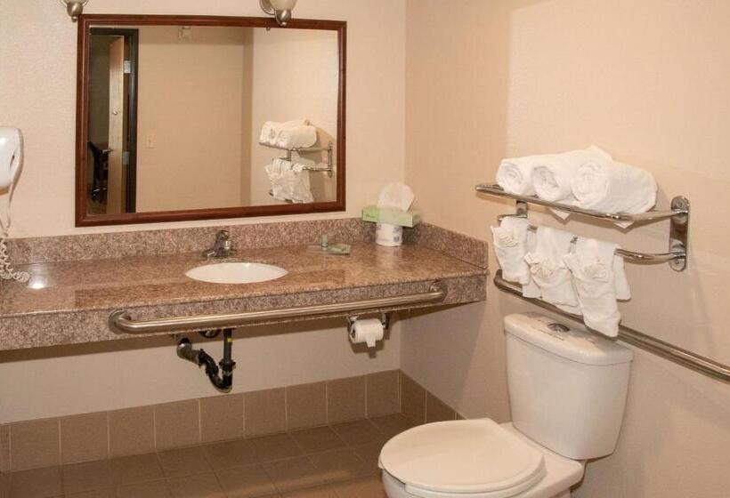 带大床的标准间, Best Western I 5 Inn & Suites