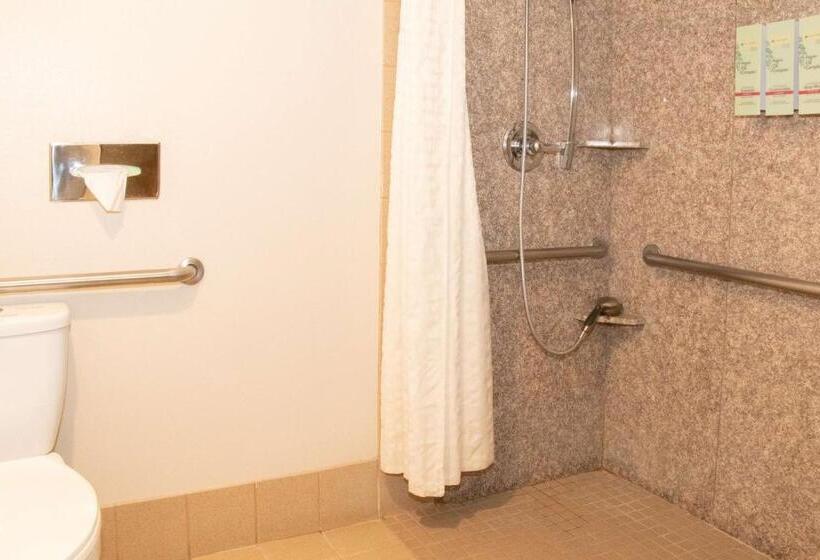 Номер Стандарт Кровать Кинг Адаптированный для Инвалидов, Best Western I 5 Inn & Suites