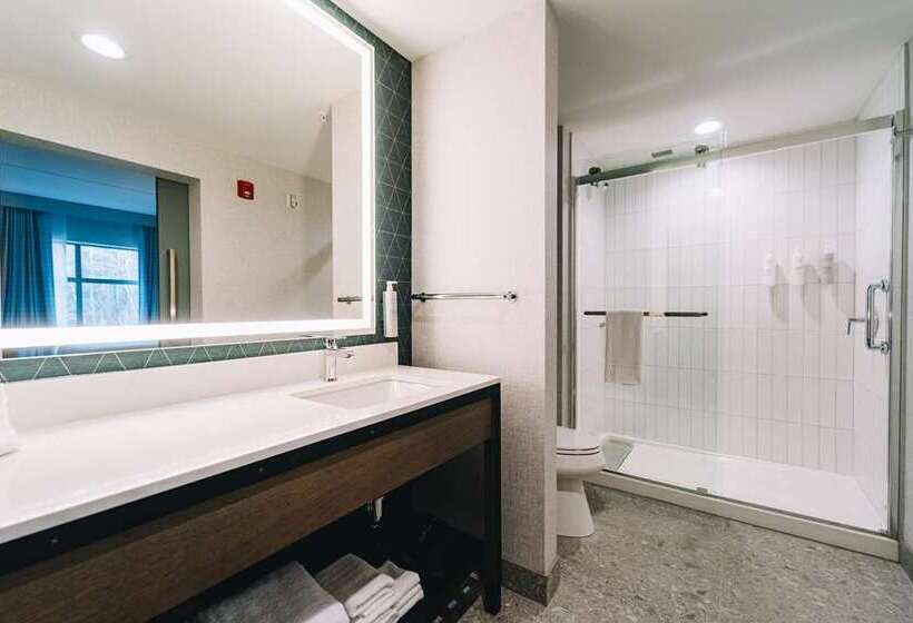 디럭스 스위트, Embassy Suites Springfield