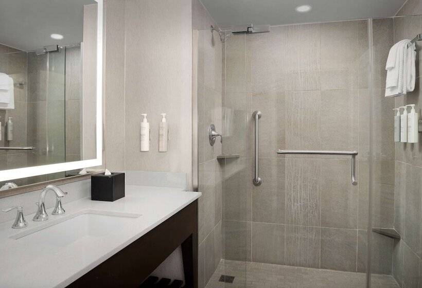 디럭스 스위트, Embassy Suites Springfield