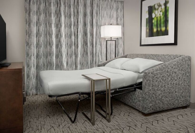 장애인을 위한 스위트, Embassy Suites Springfield
