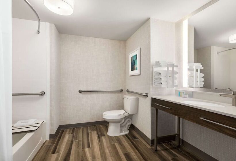 장애인을 위한 스탠다드 룸, Hampton Inn & Suites Salisbury/fruitland