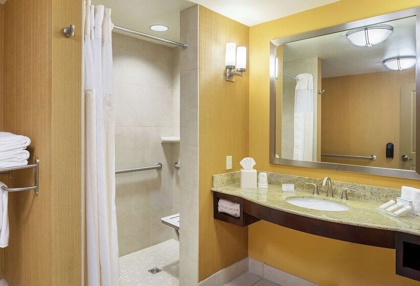 Номер Стандарт Адаптированный для Инвалидов, Hilton Garden Inn Bossier City, La