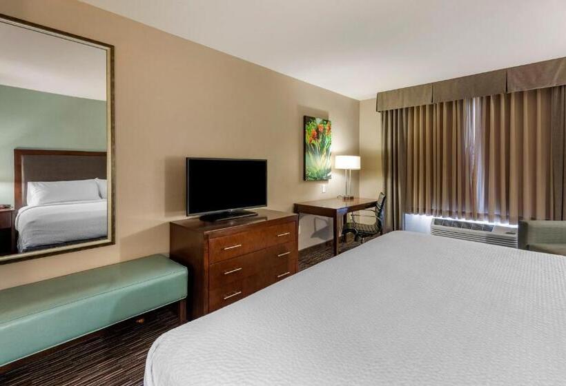 Стандартный Номер Кровать Кинг, Holiday Inn Express & Suites Indio   Coachella Valley, An Ihg