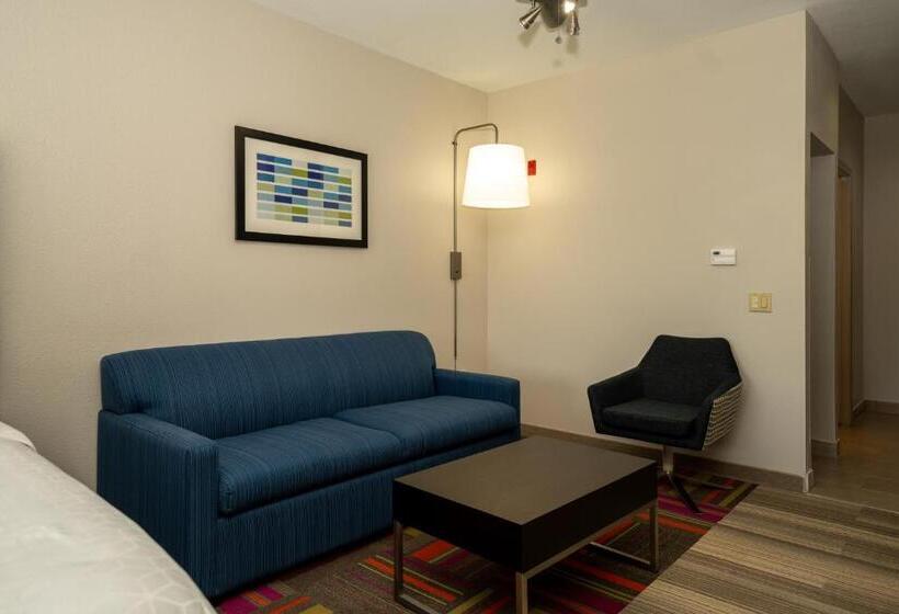 장애인을 위한 킹사이즈 침대 스탠다드 룸, Holiday Inn Express & Suites Deer Park, An Ihg