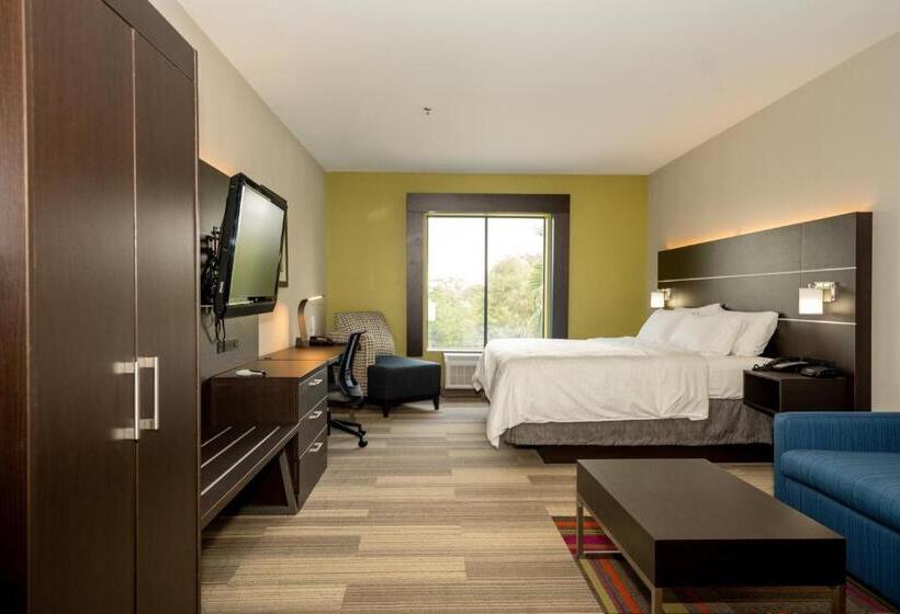 스위트 킹사이즈 침대, Holiday Inn Express & Suites Deer Park, An Ihg