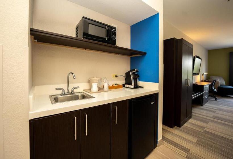 스탠다드 자쿠지 룸, Holiday Inn Express & Suites Deer Park, An Ihg