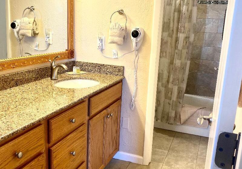 Apartamento 1 Dormitório, Tahoe Lakeshore Lodge & Spa