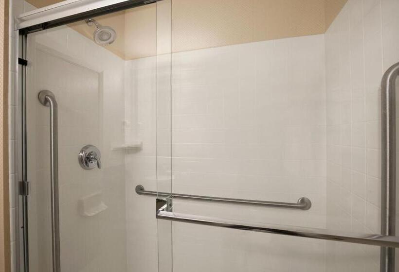 Стандартный Номер Кровать Кинг, Days Inn & Suites By Wyndham Winnipeg Airport Manitoba