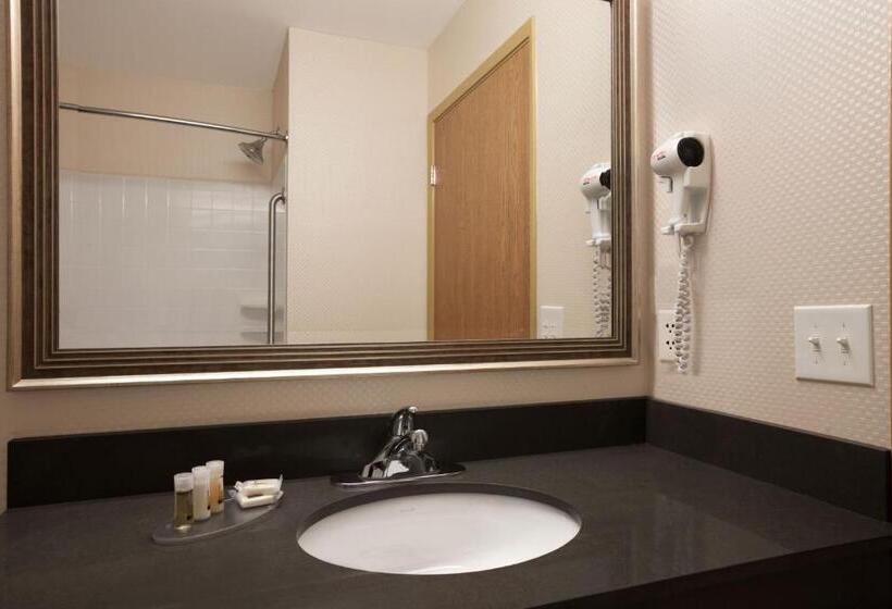 Люкс Кровать Кинг, Days Inn & Suites By Wyndham Winnipeg Airport Manitoba