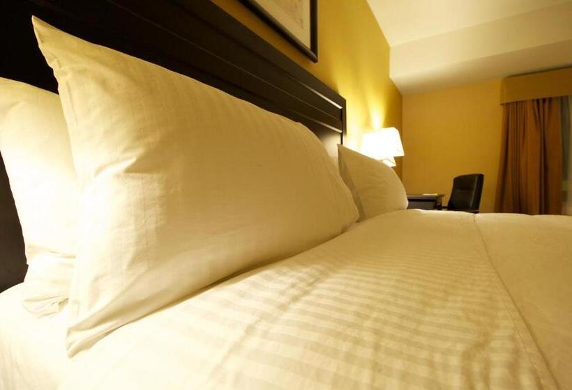 Люкс Deluxe Кровать Кинг, Days Inn & Suites By Wyndham Winnipeg Airport Manitoba