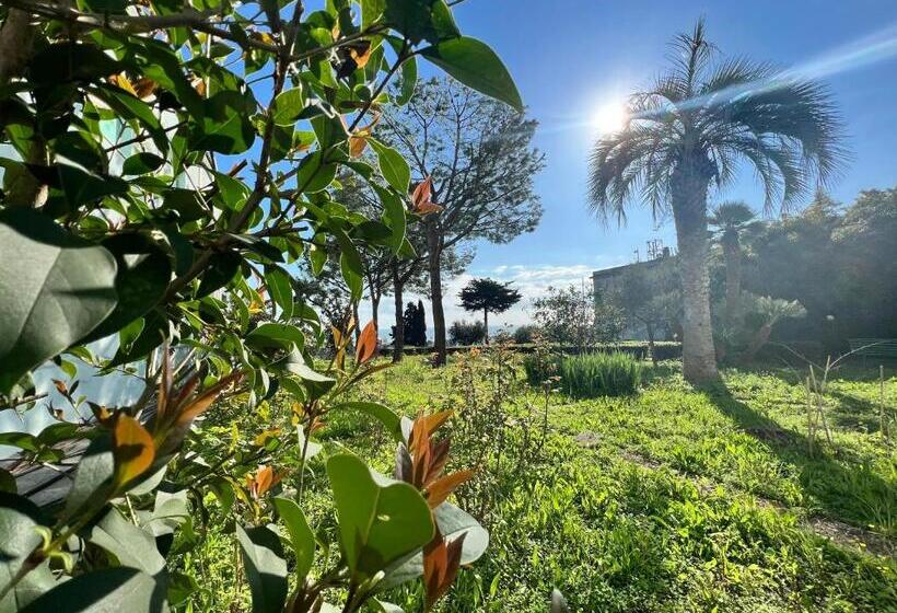 اتاق استاندارد سه نفره, Ostello E Camere Private Prima Luce Foresteria