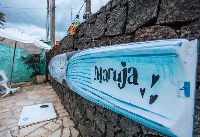 Номер Стандарт, Maruja
